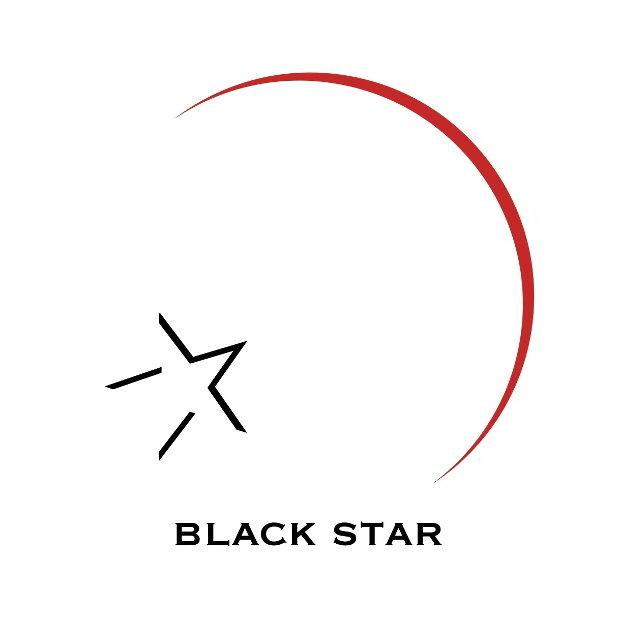 BLACK STAR minifigure